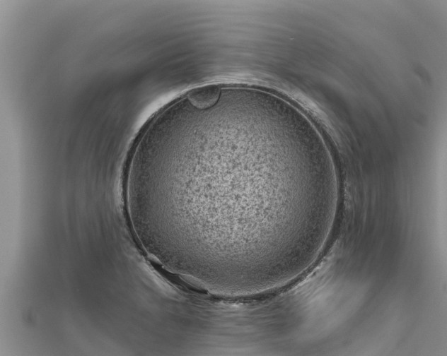 X0000112801230200908281521