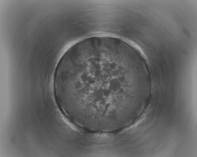 X0000112801231200908281521