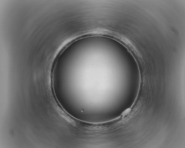 X0000112801232200908281521