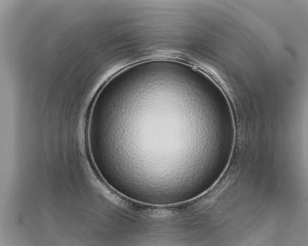 X0000112801235200908281521
