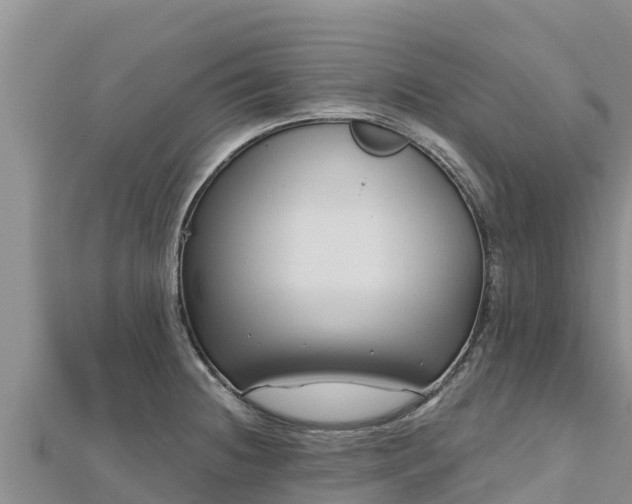 X0000112801236200908281521