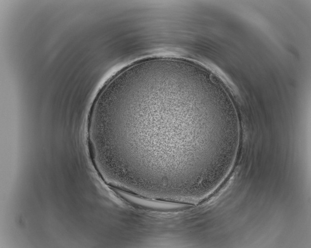 X0000112801240200908281521