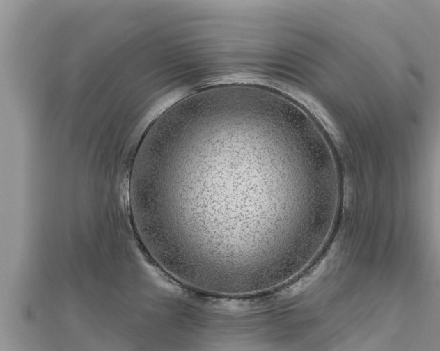 X0000112801241200908281521