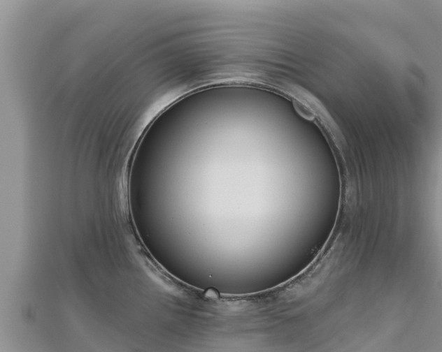 X0000112801242200908281521