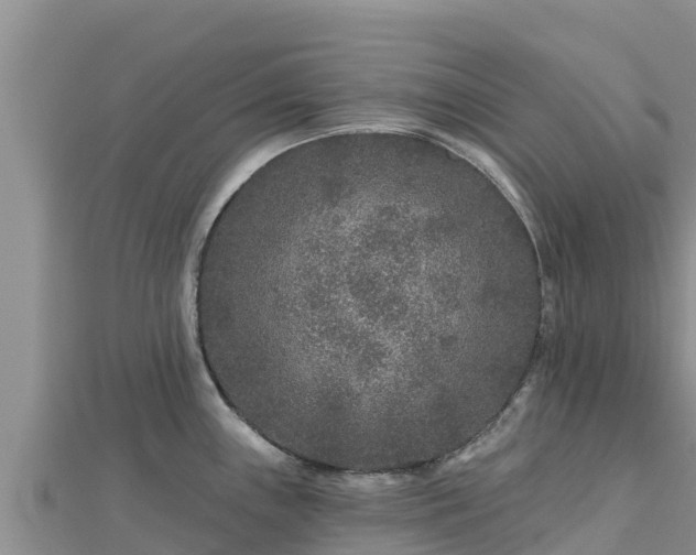 X0000112801243200908281521