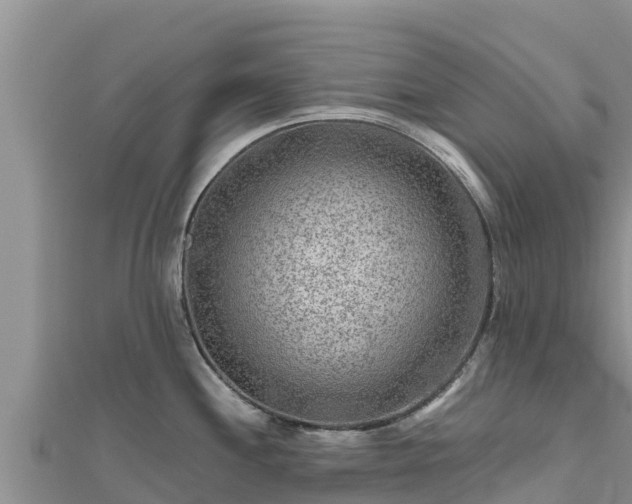 X0000112801244200908281521