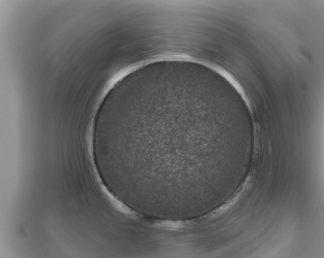 X0000112801245200908281521