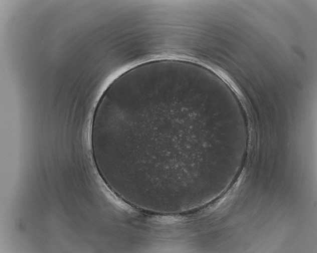 X0000112801246200908281521