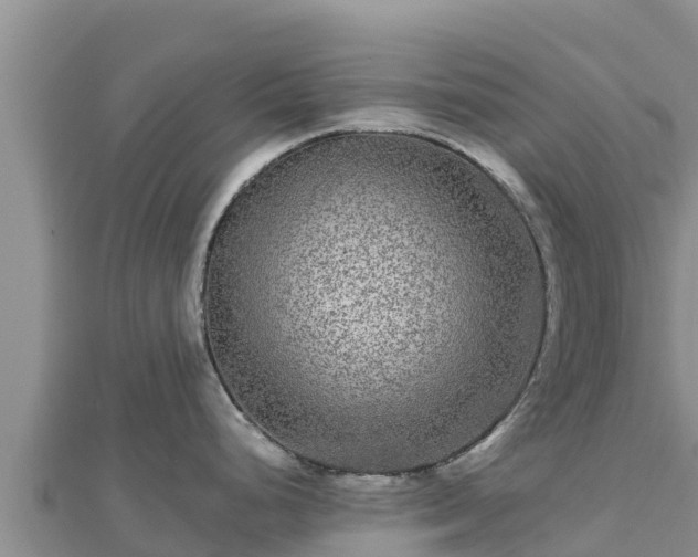 X0000112801248200908281521