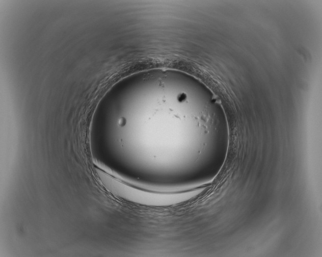 X0000112801249200908281521