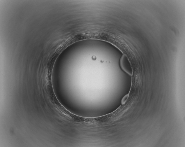 X0000112801250200908281521