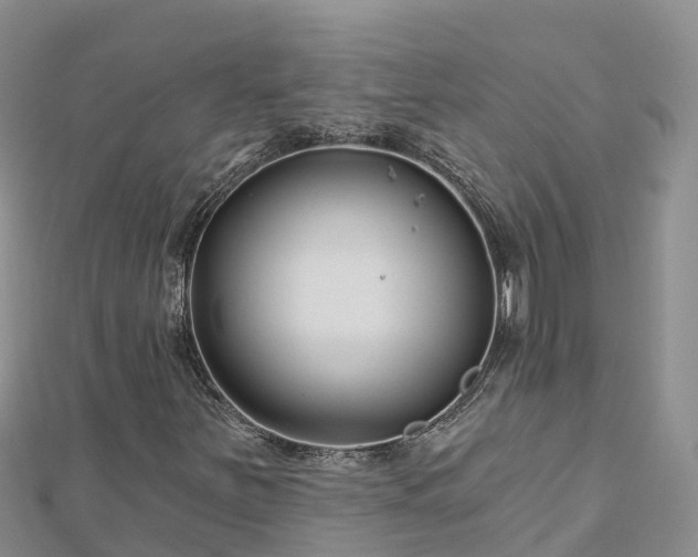 X0000112801251200908281521