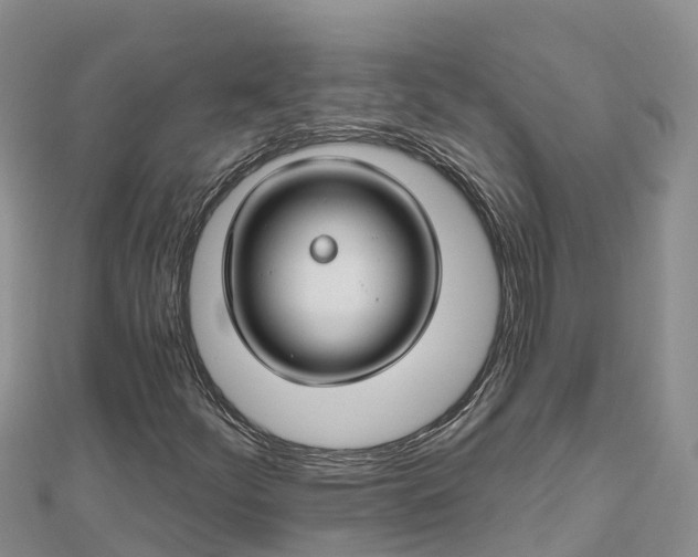 X0000112801252200908281521