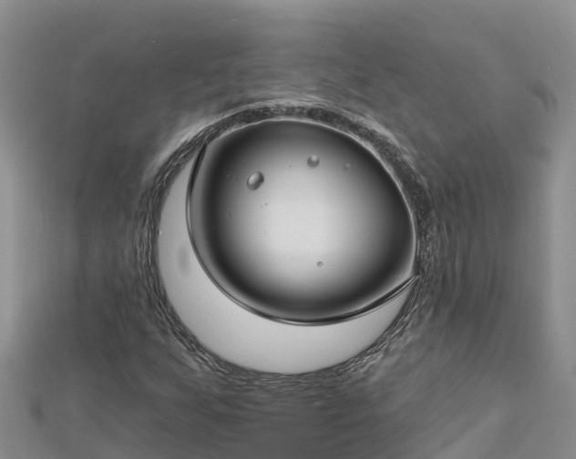X0000112801255200908281521