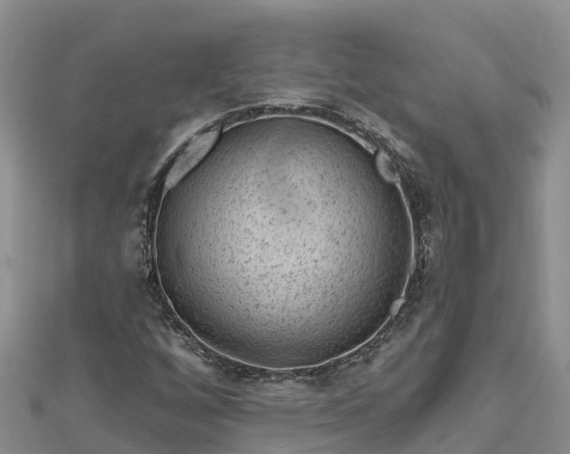 X0000112801256200908281521