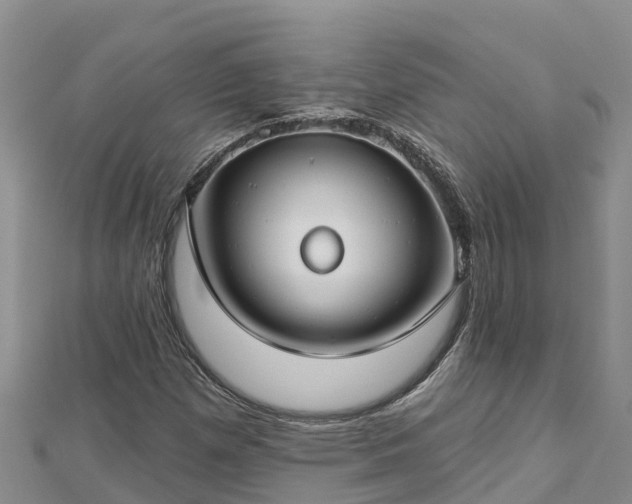 X0000112801257200908281521