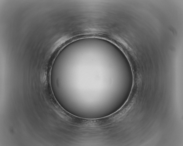 X0000112801259200908281521