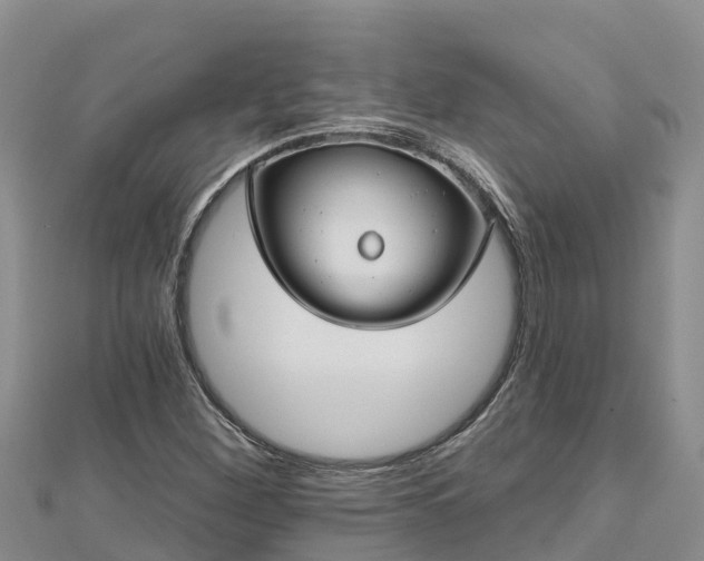 X0000112801260200908281521