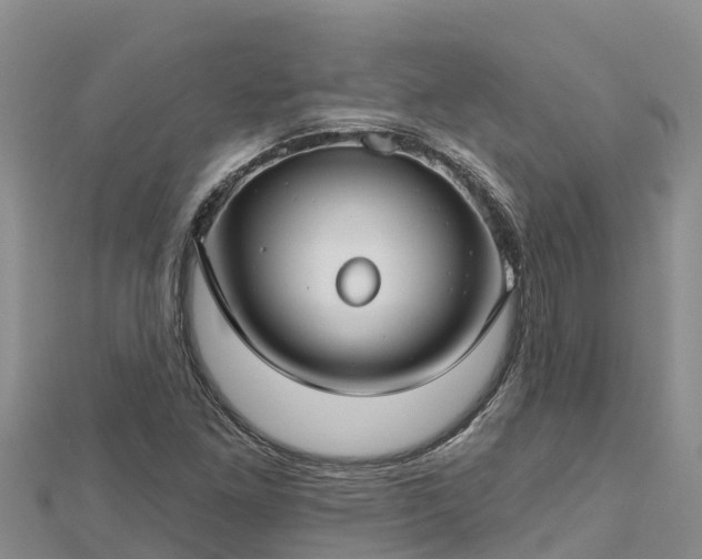 X0000112801261200908281521