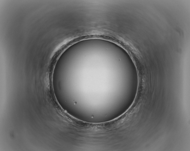 X0000112801262200908281521