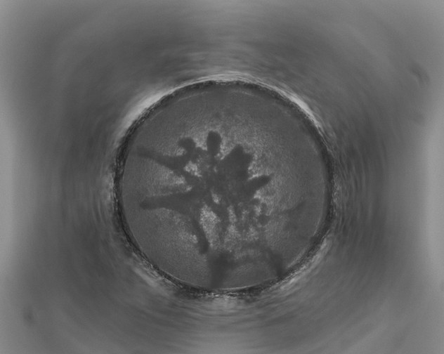 X0000112801263200908281521