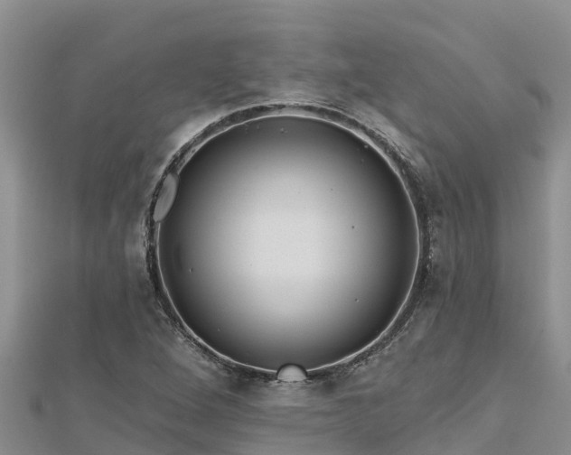 X0000112801264200908281521