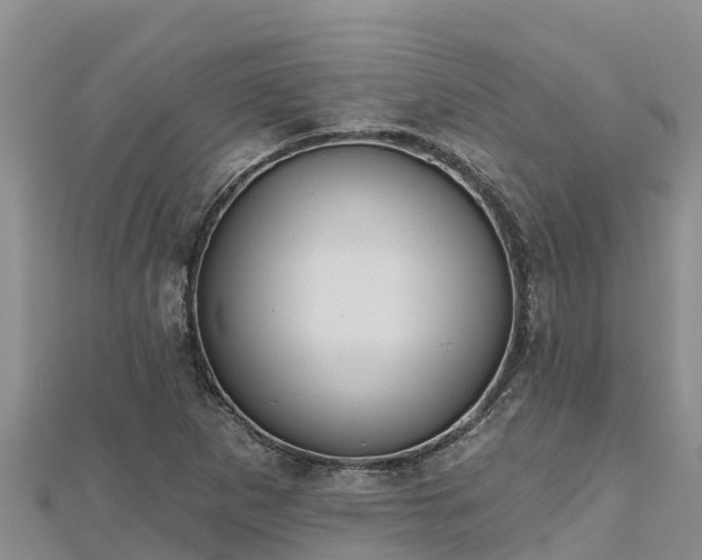 X0000112801265200908281521