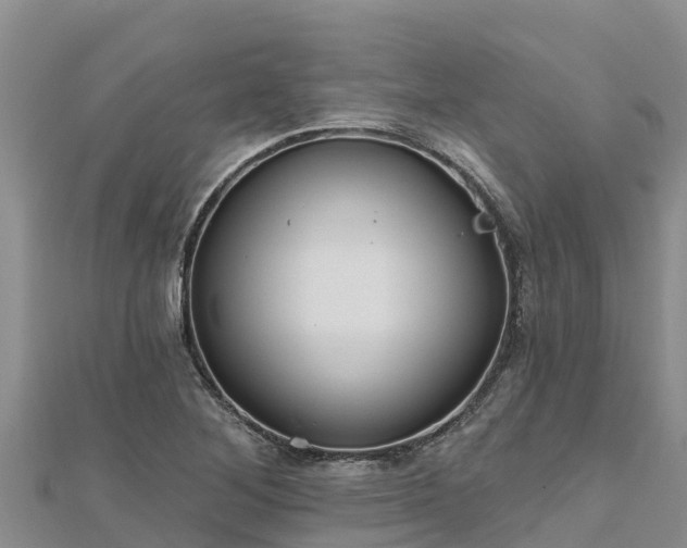 X0000112801268200908281521