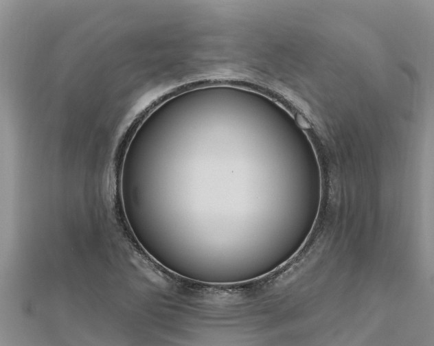 X0000112801270200908281520