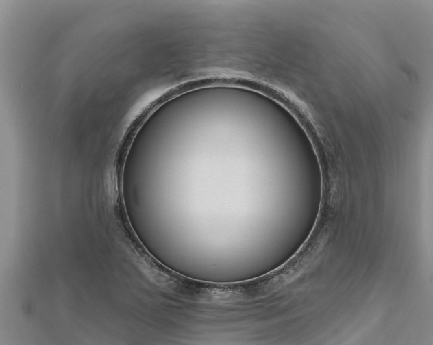 X0000112801271200908281520