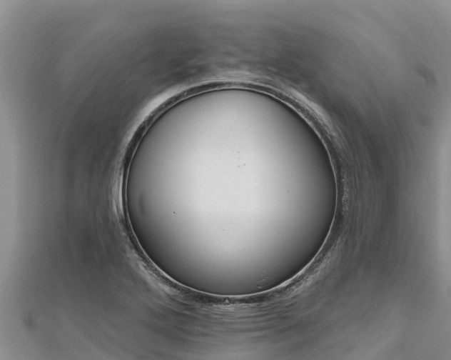 X0000112801272200908281520