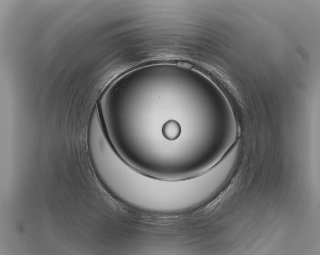 X0000112801273200908281520