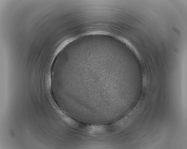 X0000112801274200908281520