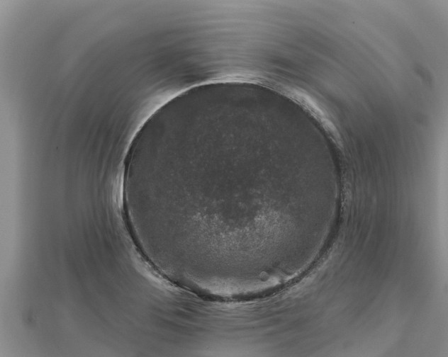 X0000112801276200908281520