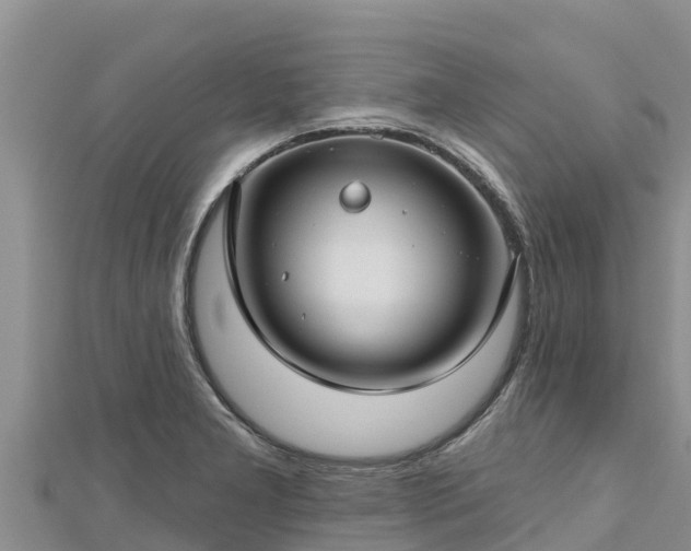 X0000112801277200908281520