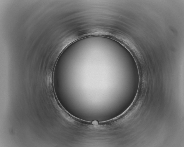 X0000112801281200908281520