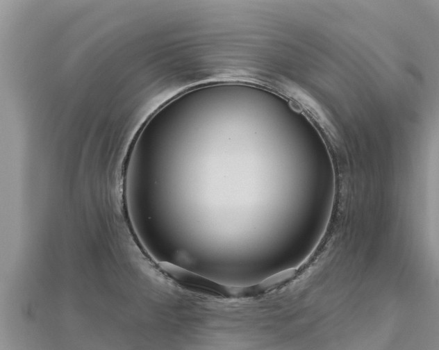 X0000112801284200908281520