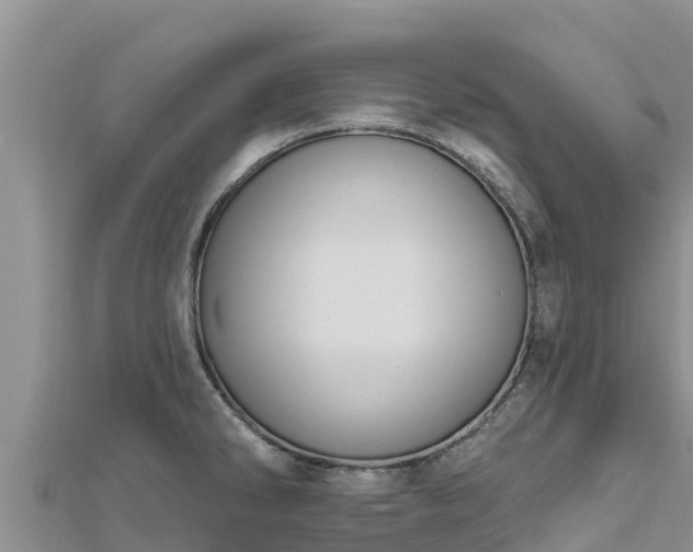X0000112801286200908281520