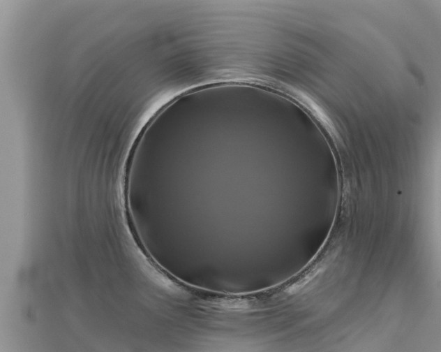 X0000112801291200908281520