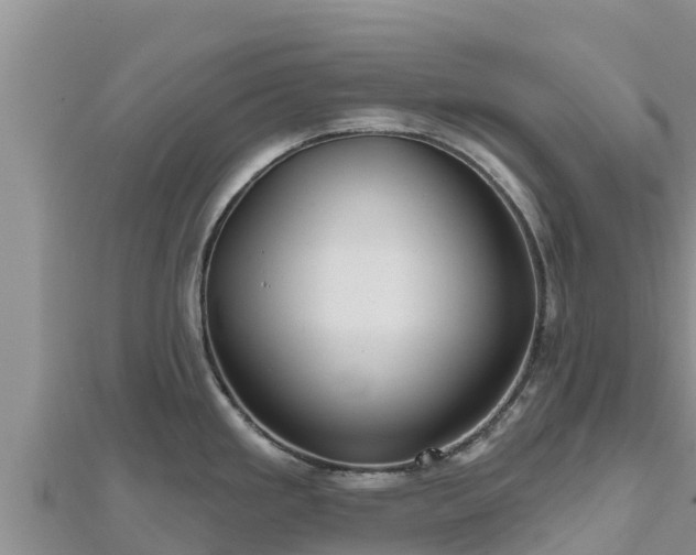 X0000112801293200908281520