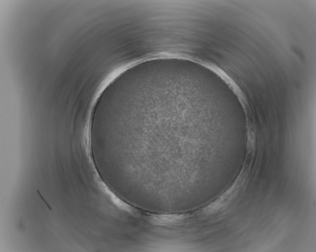 X0000112801294200908281520