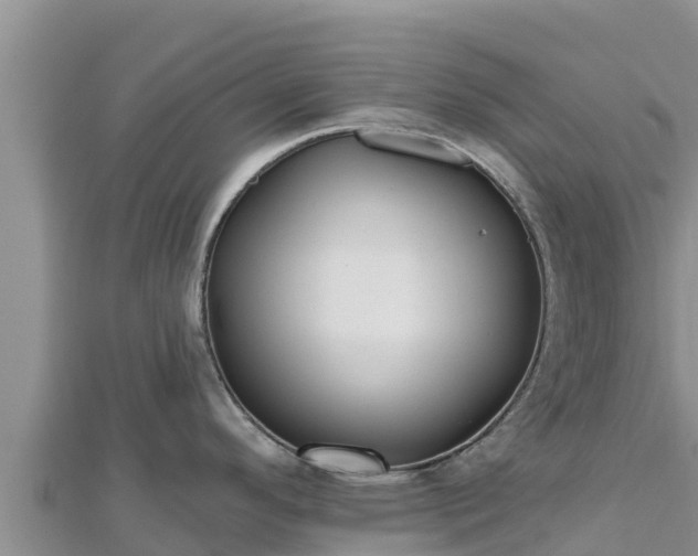 X0000112801296200908281520