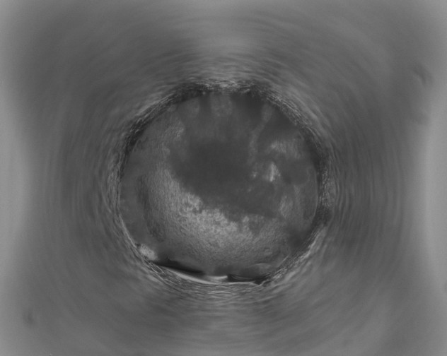 X0000112801297200908281520