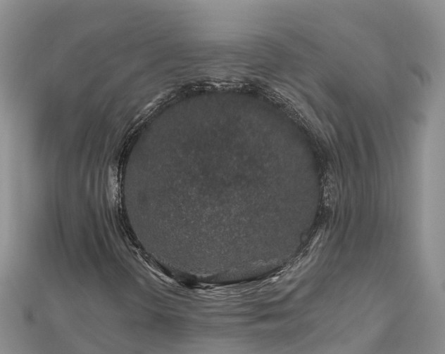 X0000112801298200908281520