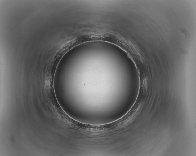 X0000112801300200908281520
