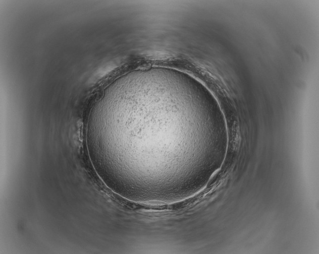 X0000112801301200908281520