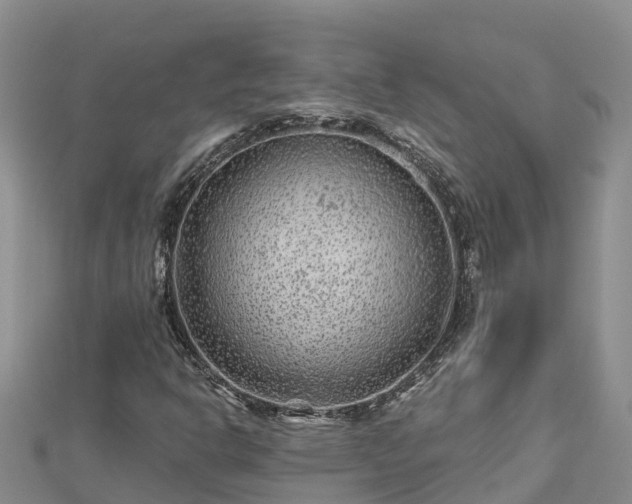 X0000112801302200908281520