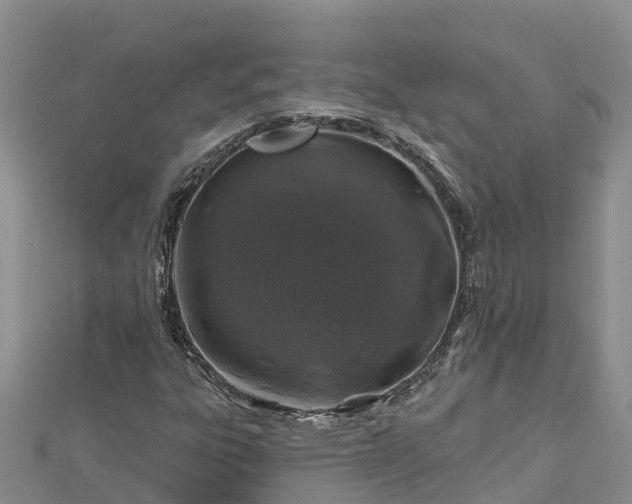X0000112801303200908281520