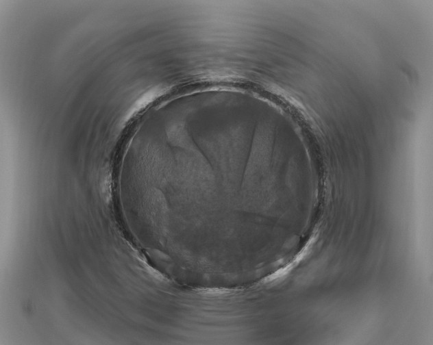 X0000112801306200908281520
