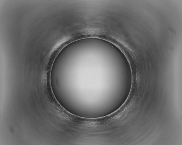 X0000112801309200908281520
